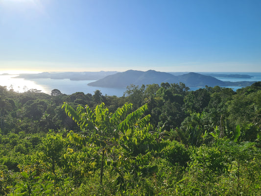 Sunshine chocolats implante son premier torréfacteur solaire de fèves de cacao à Madagascar