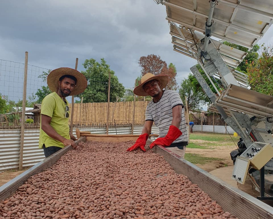 La torréfaction solaire... sans nuage